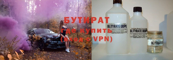 ГАЛЛЮЦИНОГЕННЫЕ ГРИБЫ Ельня