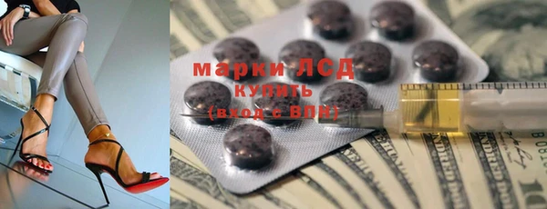 PSILOCYBIN Елабуга