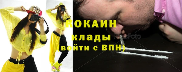 крисы Елизово