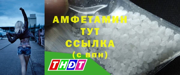 ГАЛЛЮЦИНОГЕННЫЕ ГРИБЫ Ельня