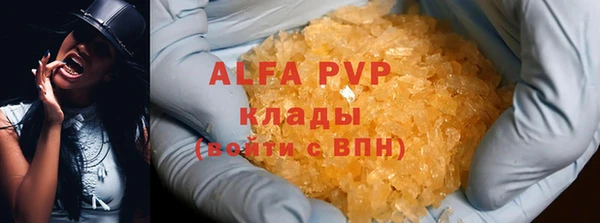 ГАЛЛЮЦИНОГЕННЫЕ ГРИБЫ Ельня