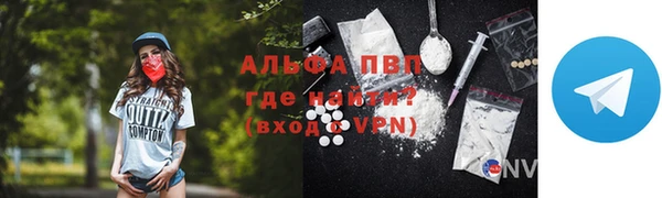 ГАЛЛЮЦИНОГЕННЫЕ ГРИБЫ Ельня