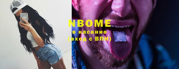 ГАЛЛЮЦИНОГЕННЫЕ ГРИБЫ Ельня