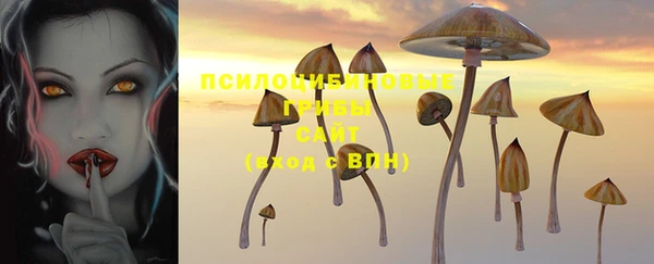ГАЛЛЮЦИНОГЕННЫЕ ГРИБЫ Ельня