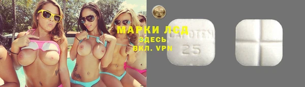 ГАЛЛЮЦИНОГЕННЫЕ ГРИБЫ Ельня