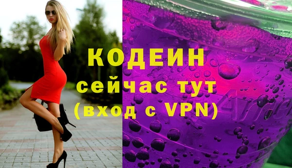 ГАЛЛЮЦИНОГЕННЫЕ ГРИБЫ Ельня