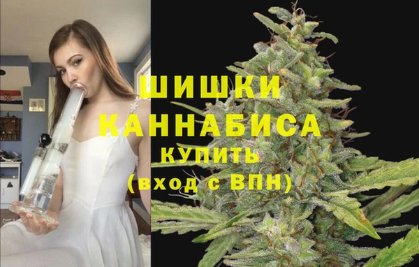 крисы Елизово