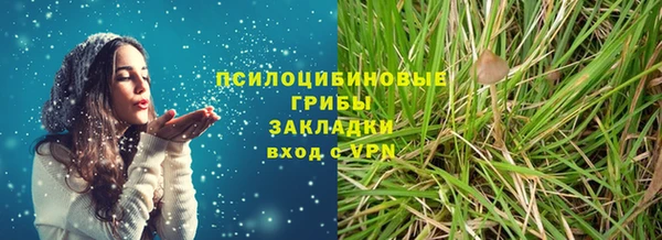 PSILOCYBIN Елабуга
