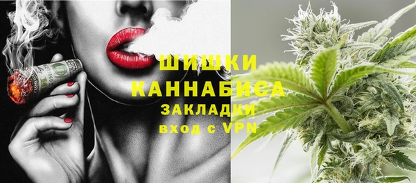 PSILOCYBIN Елабуга