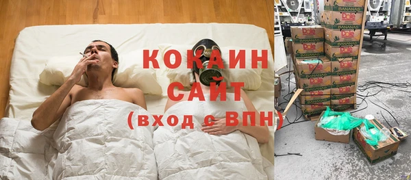 ГАЛЛЮЦИНОГЕННЫЕ ГРИБЫ Ельня