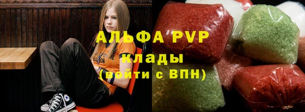 PSILOCYBIN Елабуга
