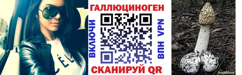 Псилоцибиновые грибы мицелий  купить наркотики сайты  Свободный 