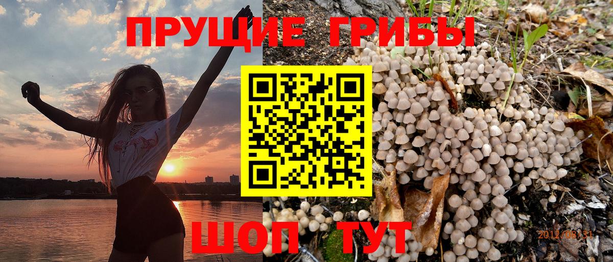 Галлюциногенные грибы мицелий Свободный