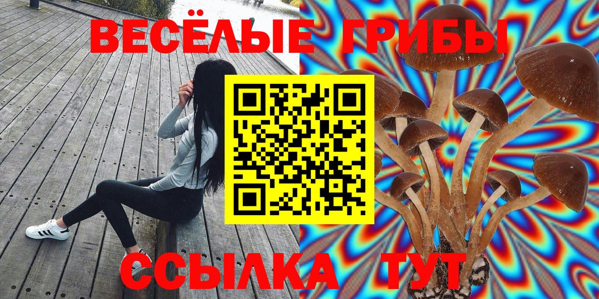Свободный  Псилоцибиновые грибы Psilocybine cubensis  Вход с VPN 